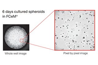 3D cell culture by using hydrogels
