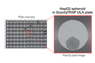 3D Cell Culture in Gravity TRAP™