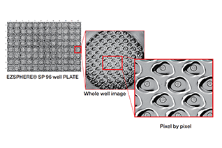 Analysis of spheroids in microwells (EZSPHERE® plate)